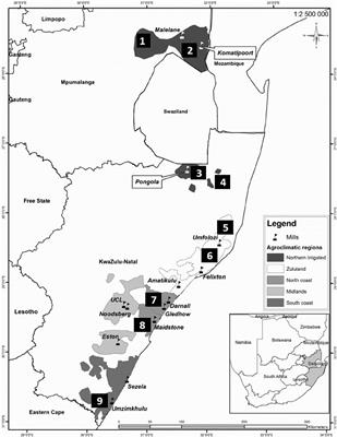 Assessing the Likelihood of Gene Flow From Sugarcane (Saccharum Hybrids) to Wild Relatives in South Africa